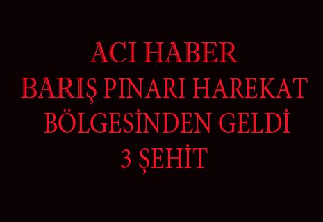 ACI HABER BARIŞ HAREKATI BÖLGESİNDEN GELDİ 3 ŞEHİT