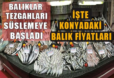 Konyada balık fiyatları açıklandı